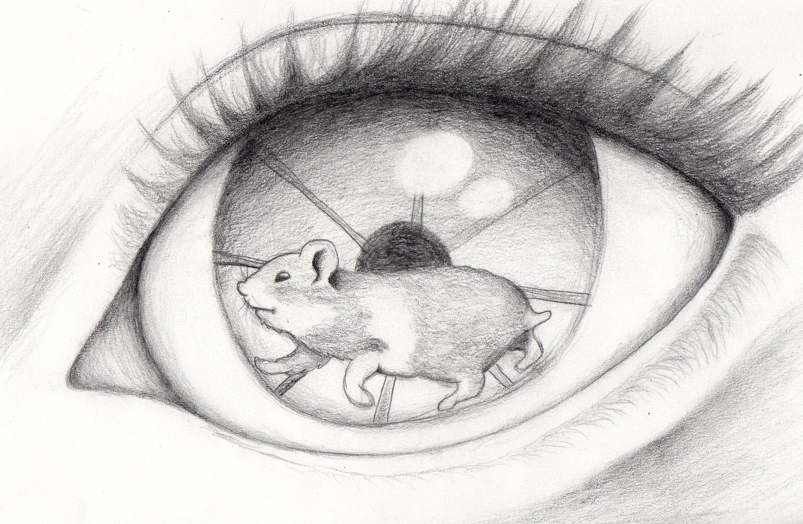 2658x1736 mmmmmagritte haha sarah - Surreal Eye Drawing