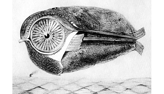 570x327 Modern Surrealism And How It Is Used In Design Today - Surrealism Drawing Ideas