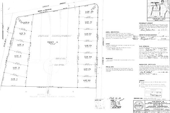 552x369 projects - Survey Drawing
