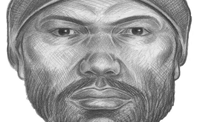 726x411 photo see police sketch of man in karina vetrano murder - Suspect Drawing