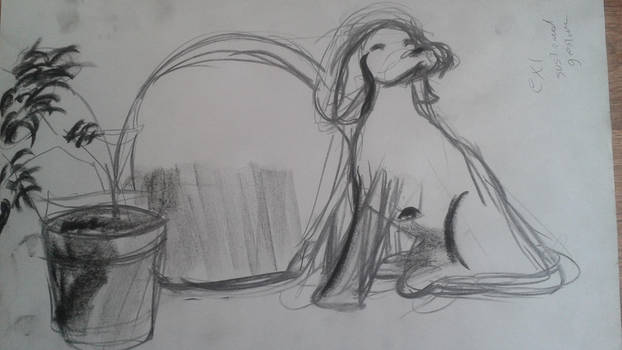 622x350 sustained gesture - Sustained Gesture Drawing