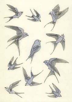 236x330 Blue Bird Drawings - Swallow Bird Drawing