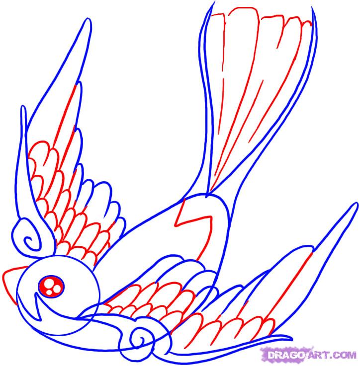 722x737 how to draw a swallow, step - Swallow Bird Drawing