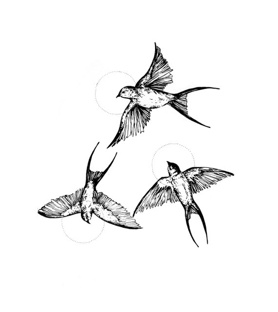 570x641 Black And White Prints Wall Art Pen Design Drawing Etsy - Swallow Bird Drawing