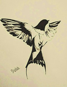 232x300 dark swallow drawing - Swallow Drawing