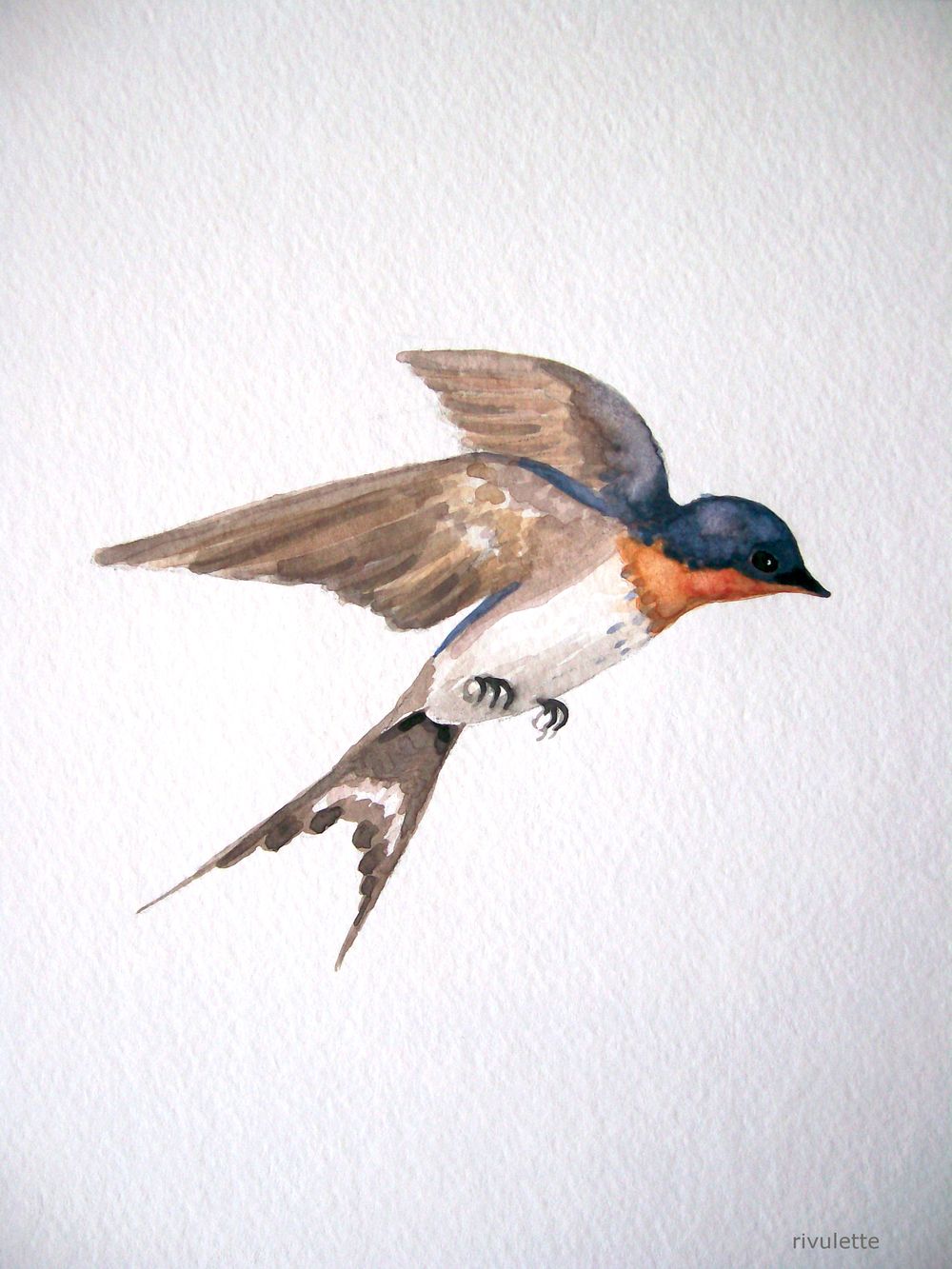 1000x1333 A Drawing A Day - Swallow Drawing