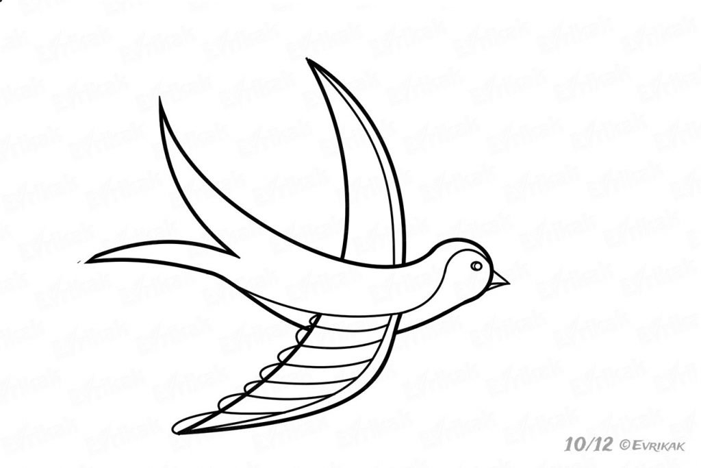 1024x683 how to draw a swallow in a flight for children in stages - Swallow Drawing