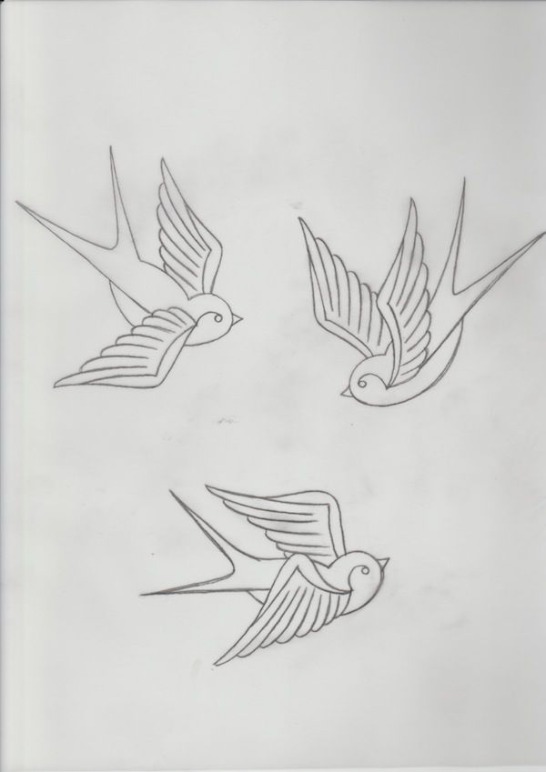 600x849 swallow drawing picture drawing skill - Swallow Drawing