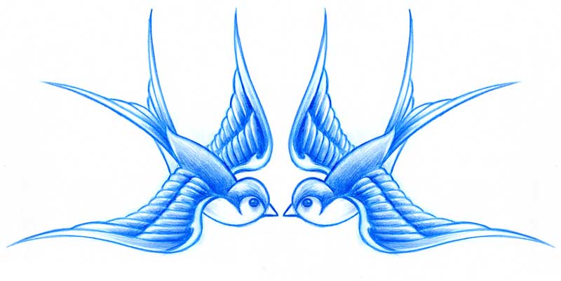 800x401 trad swallow - Swallow Drawing