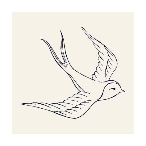 473x473 vector ink pen hand drawn flying swallow illustration with vintage - Swallow Drawing