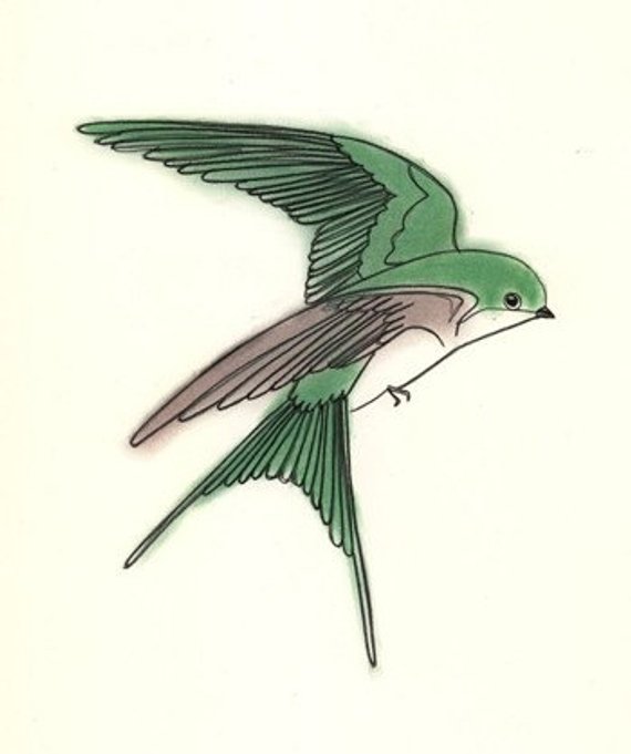 570x681 bird art print swallow bird art print for sale etsy - Swallow Drawing