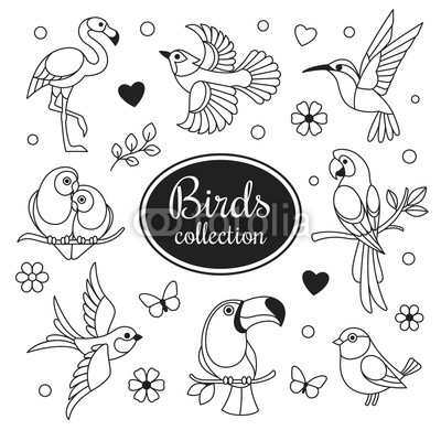 400x400 Birds Icons Collection Vector Collection Of Exotic Birds Outline - Swallow Outline Drawing