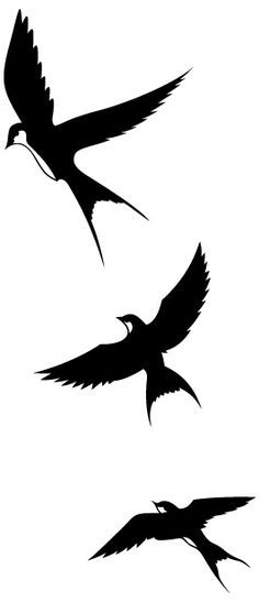 236x547 drawn swallow outline - Swallow Outline Drawing