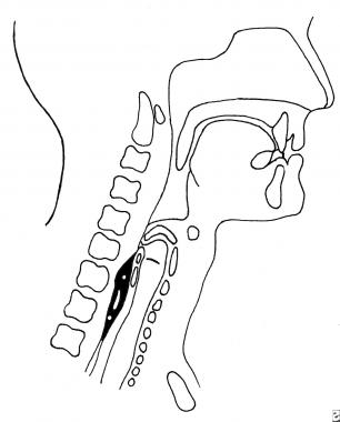 Swallow Outline Drawing at PaintingValley.com | Explore collection of ...