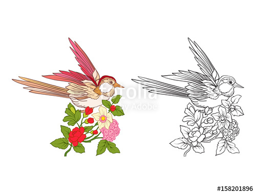 500x379 flowers and swallow set of colored sample and outline drawing - Swallow Outline Drawing