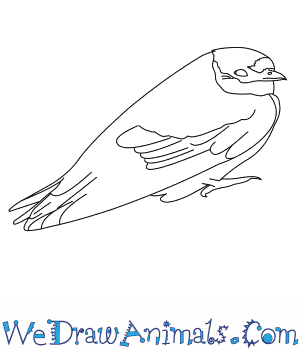 300x350 how to draw a cliff swallow - Swallow Outline Drawing