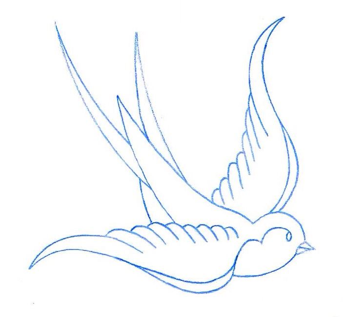703x649 swallow outline tattoos tattoos, swallow tattoo, tattoo designs - Swallow Outline Drawing