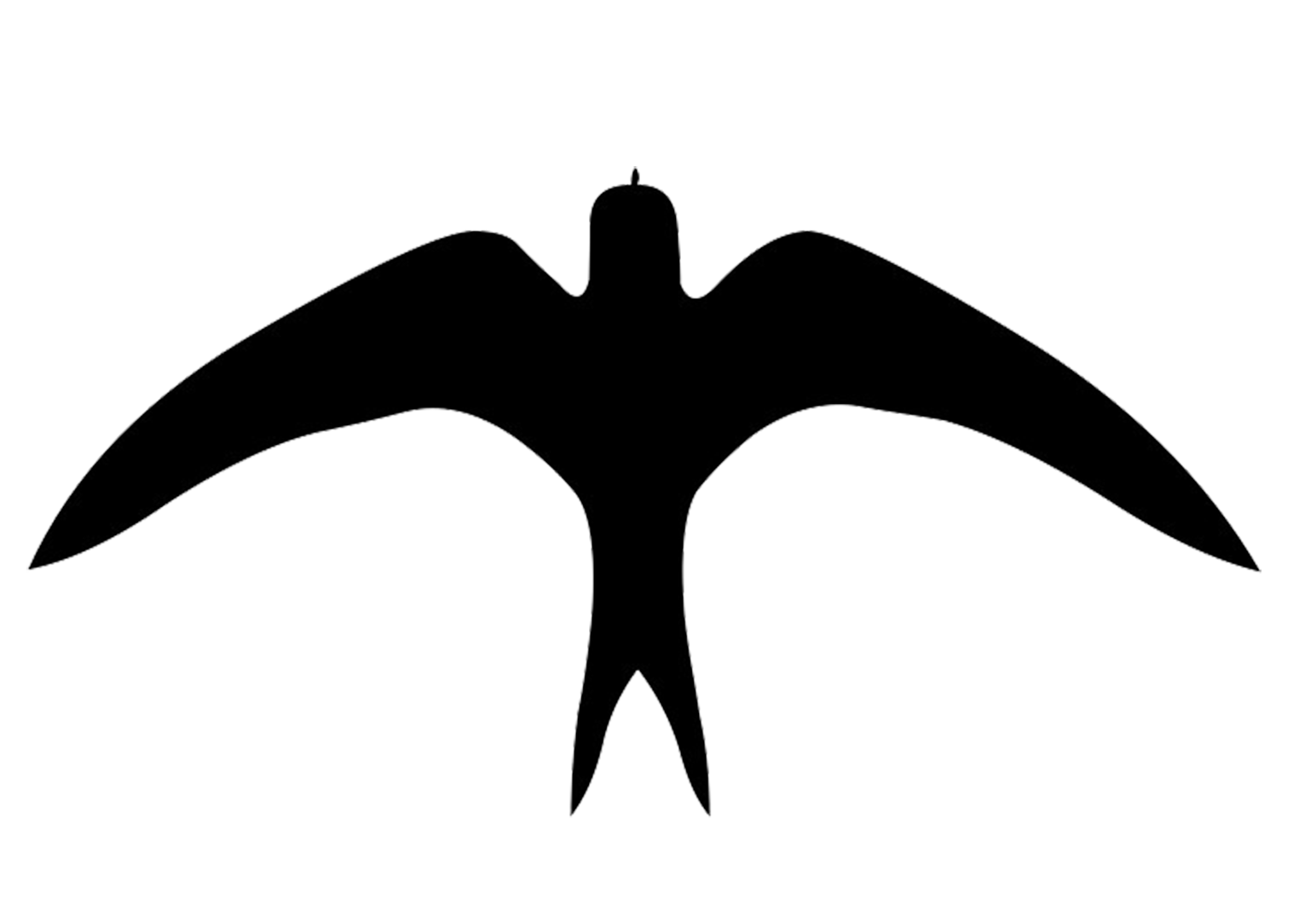 1544x1062 Swallows Drawing In Flight Huge Freebie! Download - Swallow Outline Drawing