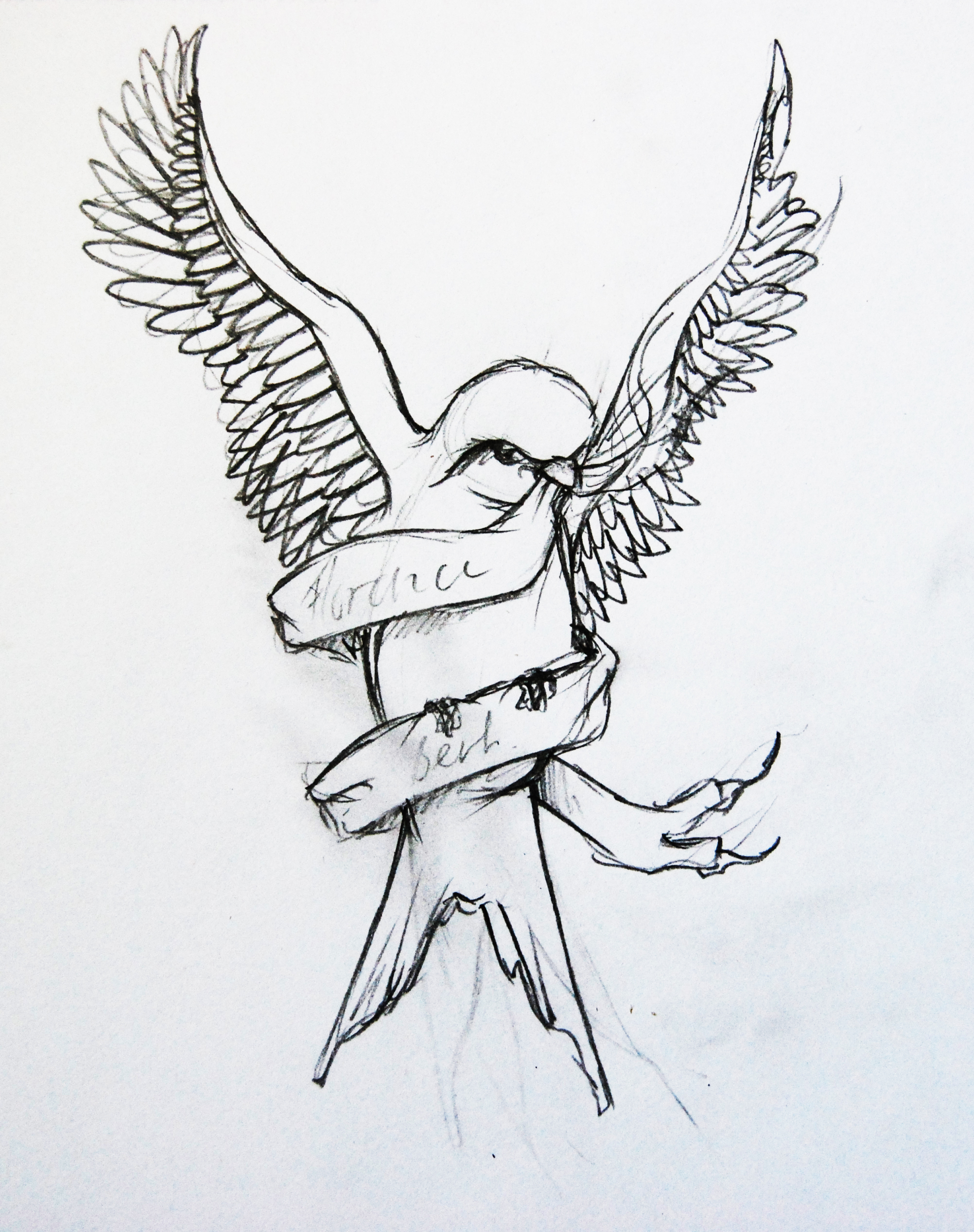 2004x2536 swallow tattoo design thoughts and walks blog - Swallow Tattoo Drawing