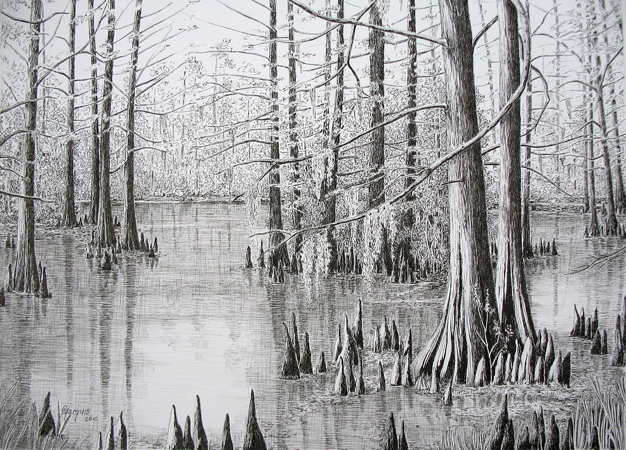 Swamp Drawing At Explore Collection Of Swamp Drawing