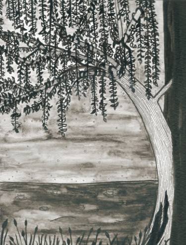 375x494 swamp drawing - Swamp Drawing