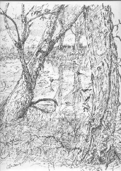 425x600 swamp drawing last sunday - Swamp Drawing