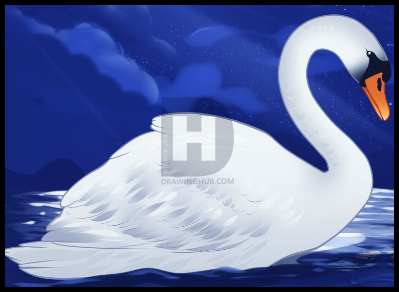 784x573 How To Draw A Swan, Step - Swan Drawing