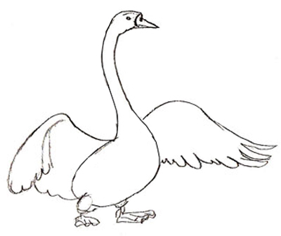 400x336 How To Draw A Swan - Swan Drawing