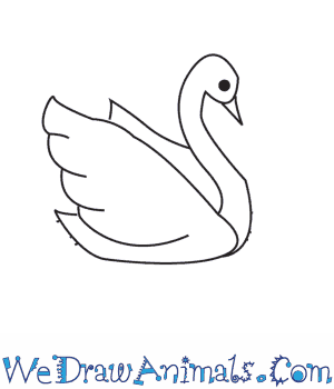 300x350 How To Draw A Swan - Swan Drawing