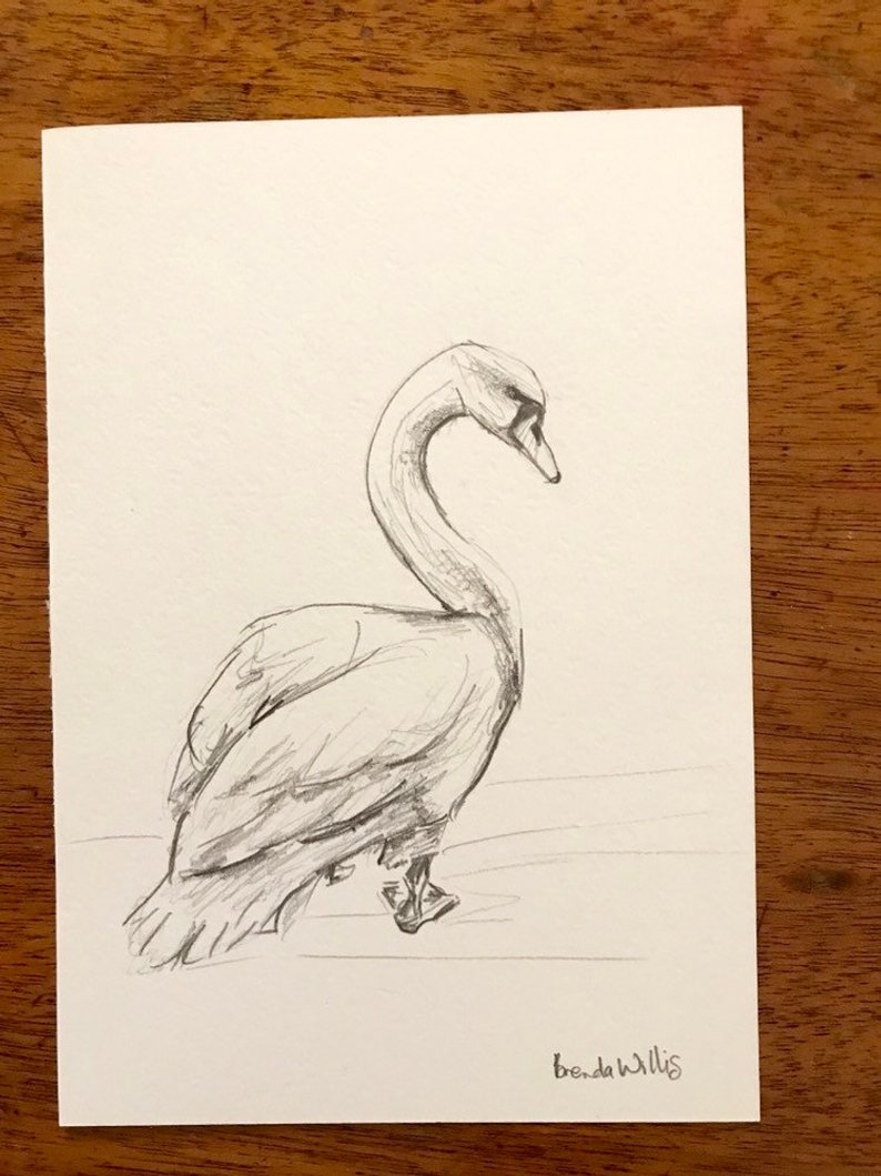 794x1059 Original Hand Drawn Swan Drawing Artwork Mini Black Ampwhite Etsy - Swan Drawing