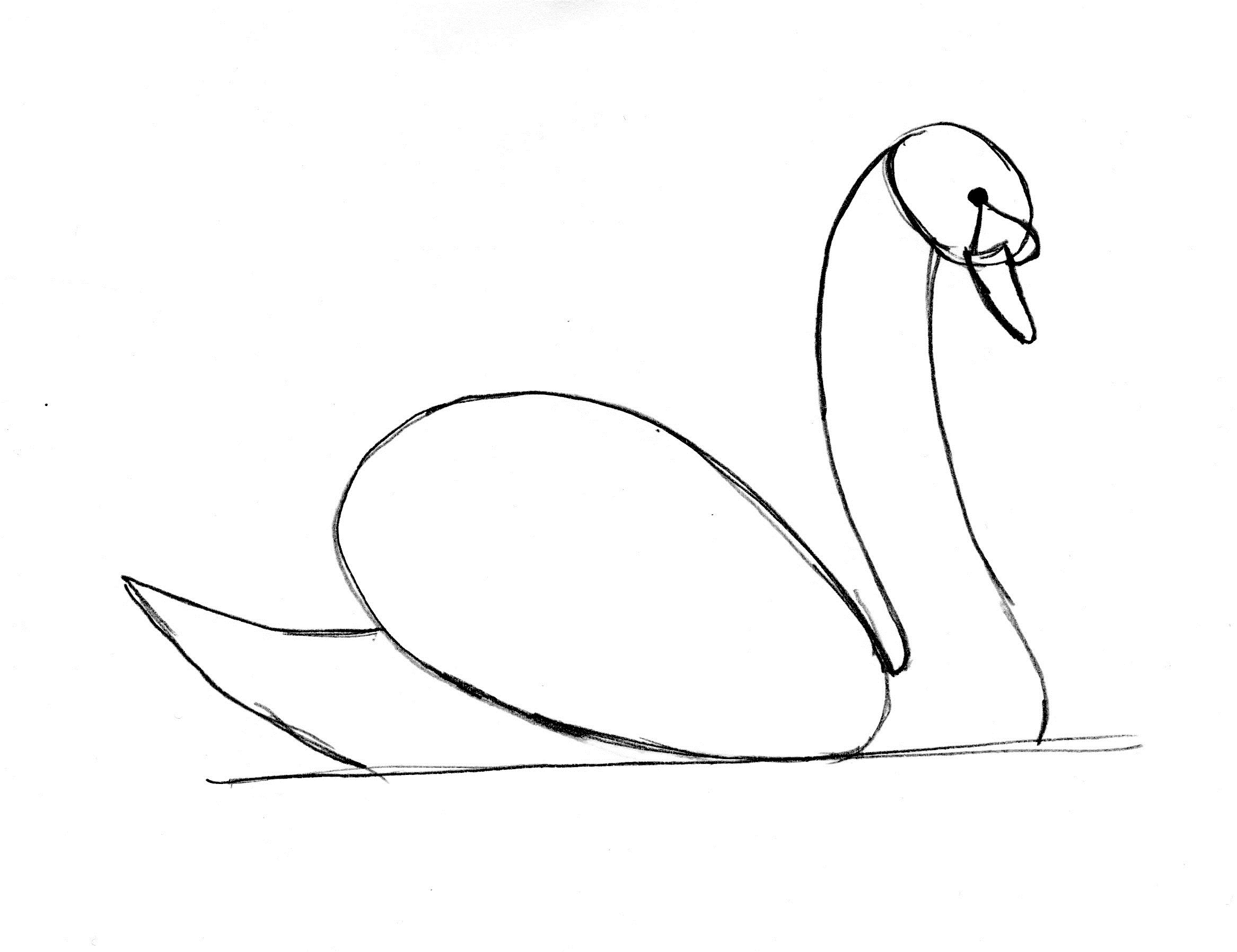 2333x1796 Swan Drawing Step - Swan Drawing