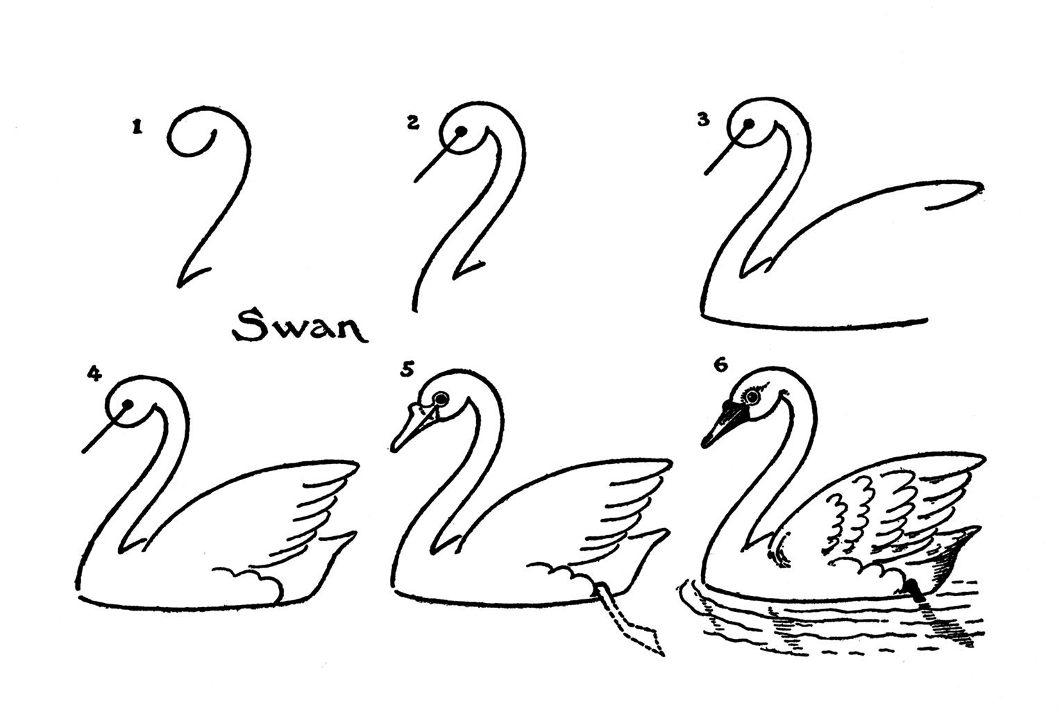 1530x1025 Vintage Kids Printable - Swan Drawing