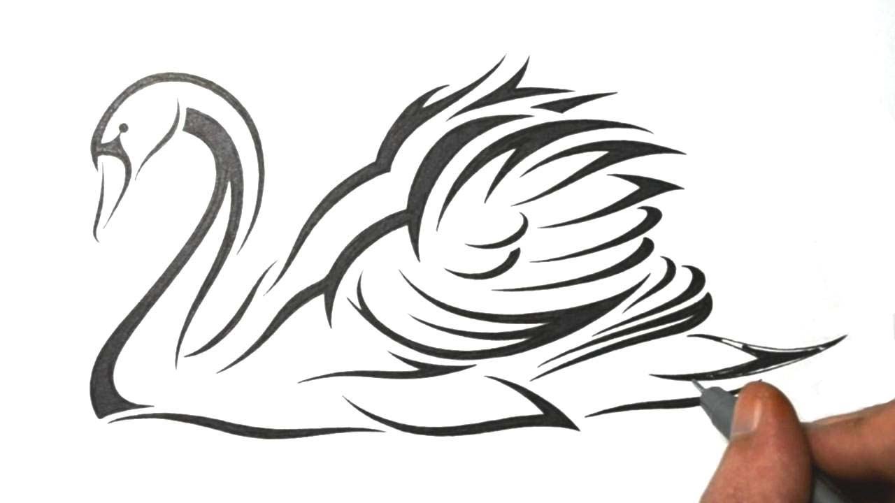 1280x720 How To Draw A Swan - Swan Drawing Images