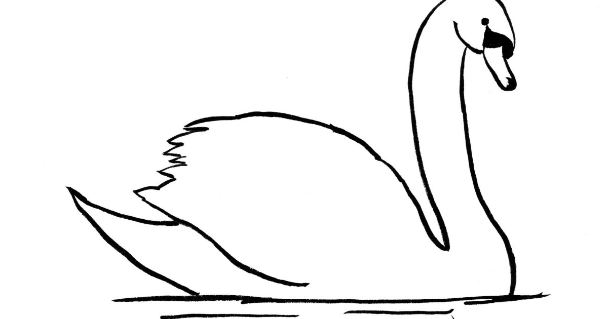 1200x630 Swan Drawing Step - Swan Drawing Images