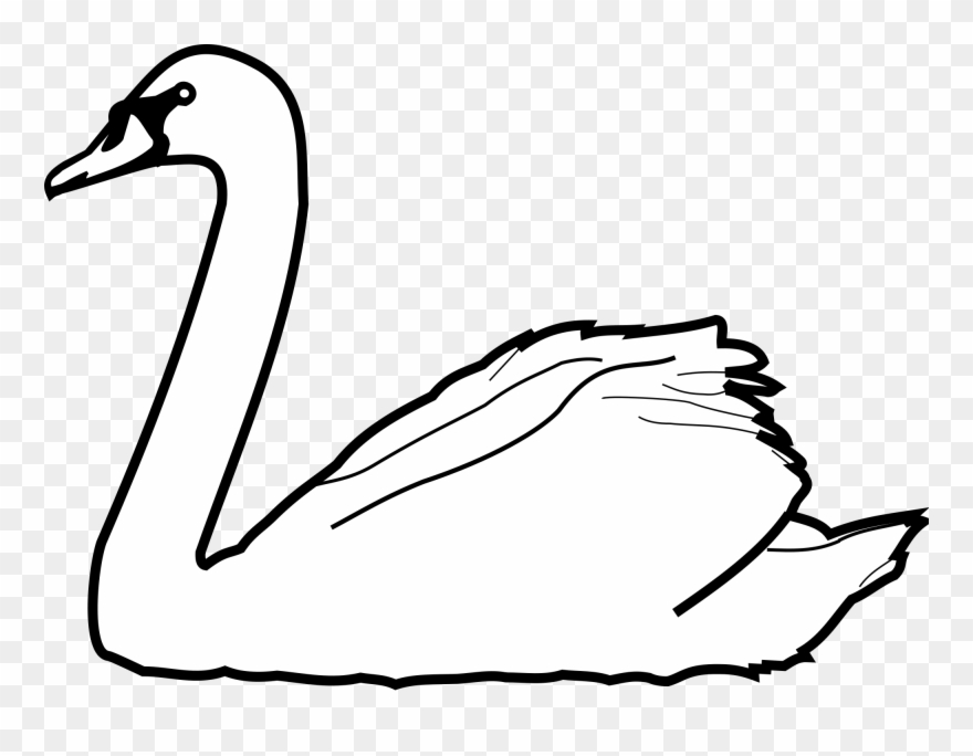 880x684 Swans Drawing At Getdrawings - Swan Drawing Images