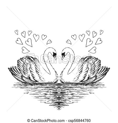 450x470 Swan Sketch - Swan Drawing Images