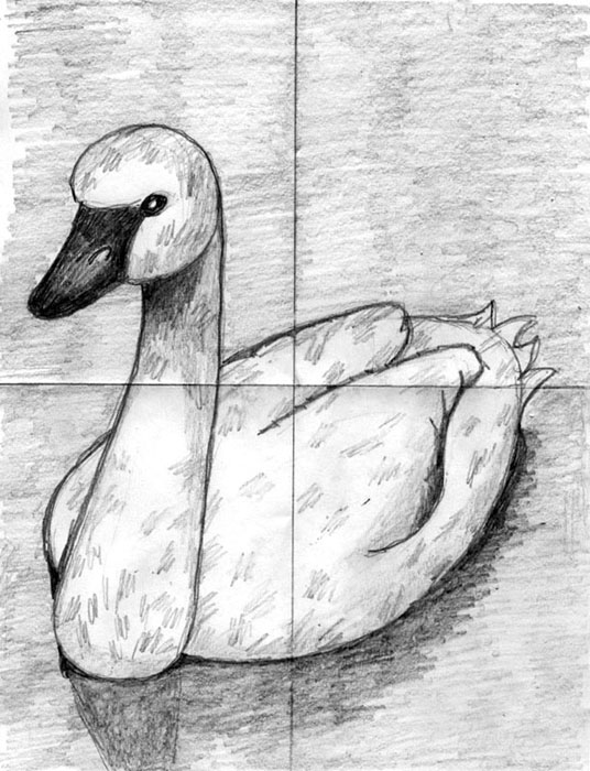 536x700 Draw A Swan Art Projects For Kids - Swan Drawing Images