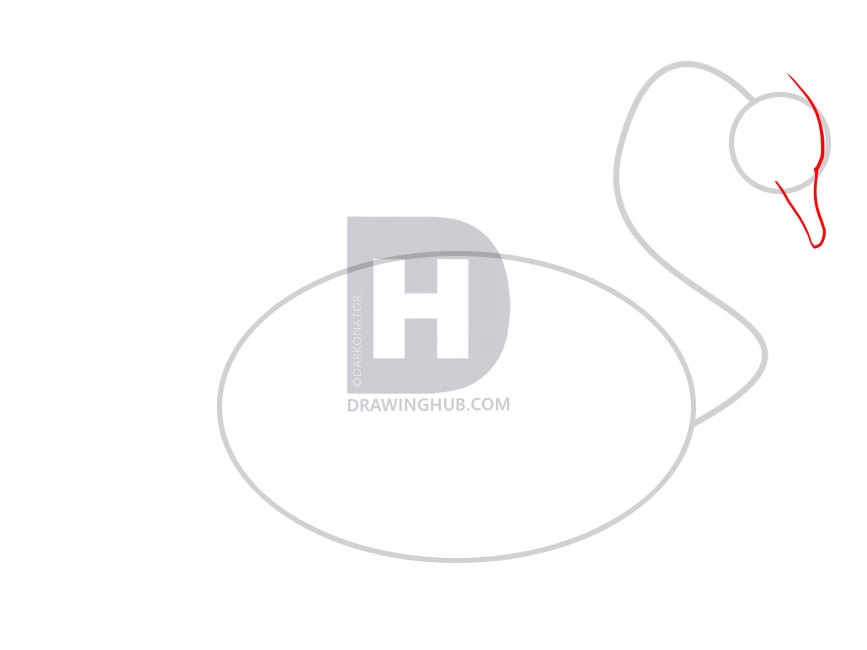 867x650 How To Draw A Swan, Step - Swan Head Drawing
