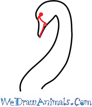 300x350 How To Draw A Black Swan - Swan Head Drawing