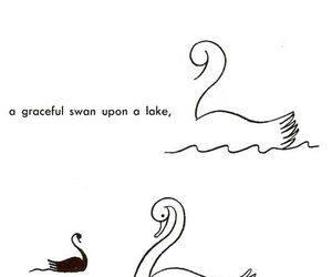 300x250 How To Draw A Simple Swan On A Lake On We Heart It - Swan Heart Drawing