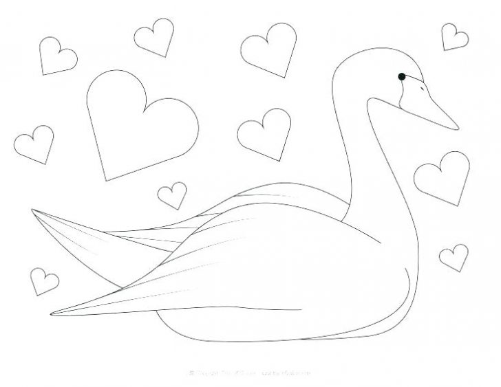 728x563 Swan Goose Printable Animal Coloring Pages For Adults Easy Girls - Swan Heart Drawing