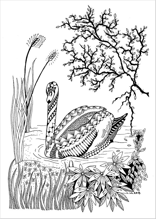 641x900 Swan Lake Drawing - Swan Lake Drawing