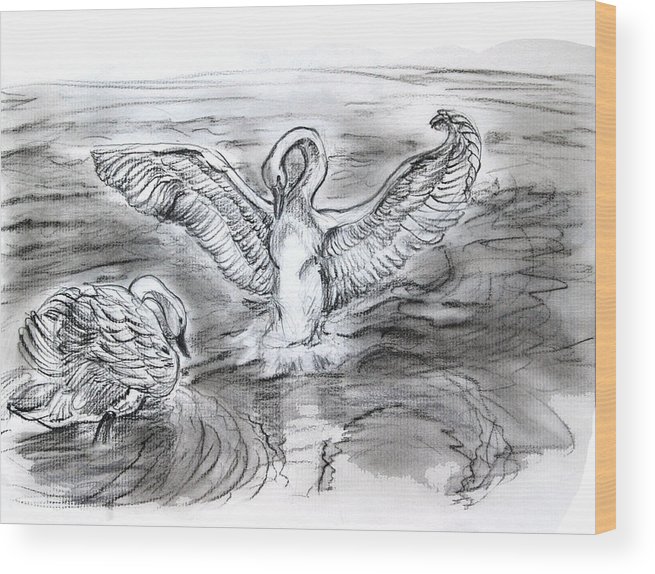 655x574 Swan Lake Wood Print - Swan Lake Drawing
