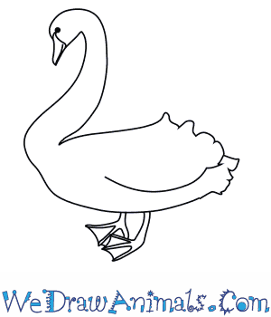 300x350 How To Draw A Black Swan - Swan Line Drawing