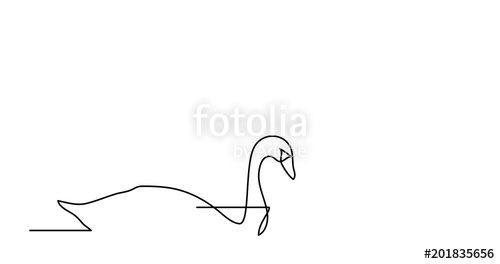 500x264 Self Drawing Animation Of Single Line Drawing Of Two Swans Stock - Swan Line Drawing
