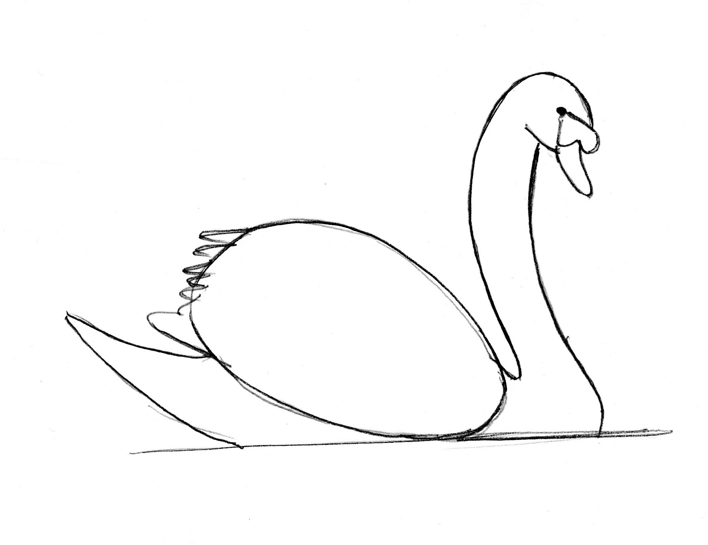 2333x1796 Swan Drawing Step - Swan Line Drawing