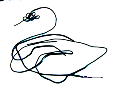 432x324 Swansline Drawing - Swan Line Drawing