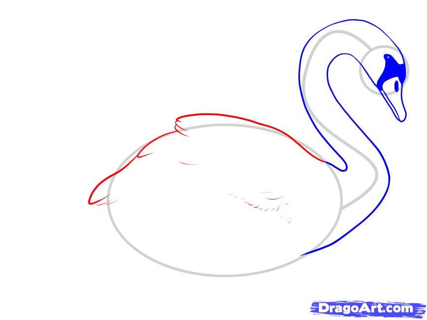 867x650 Swan Sketch - Swan Line Drawing