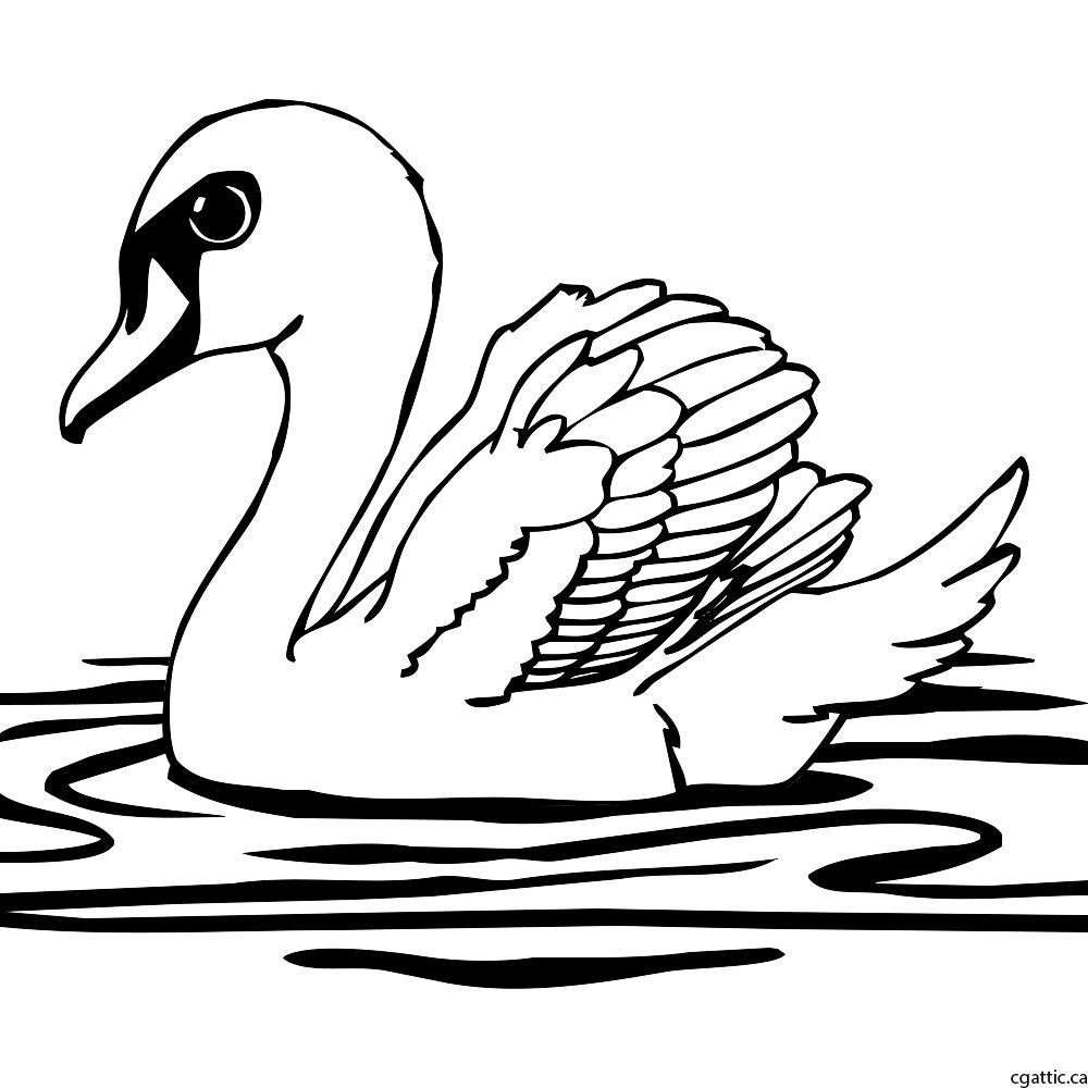 1000x1000 Cartoon Swan Drawing In Steps With Photoshop - Swan Line Drawing