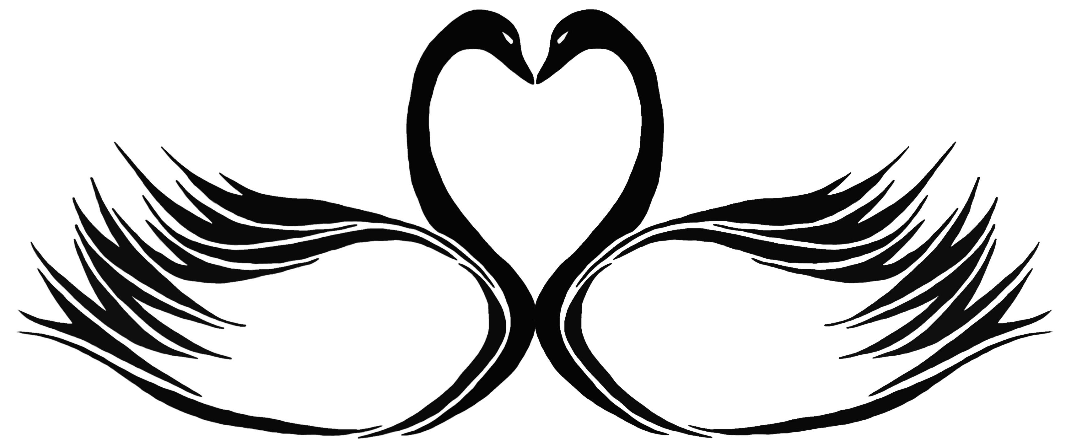 3412x1424 Swan Tattoo Design - Swan Tattoo Drawing